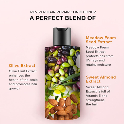 De Fabulous Reviver - Repairs Dry & Frizzy Hair, Sulphate Free