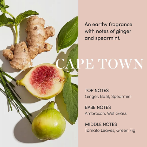 OUAI Scalp Serum for Thicker, Fuller-Looking Hair